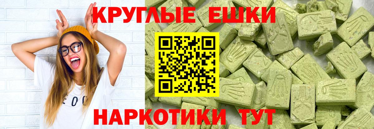 Ecstasy бентли Луга