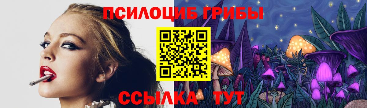 купить  сайты  Галлюциногенные грибы Magic Shrooms  Вход с VPN  Луга 